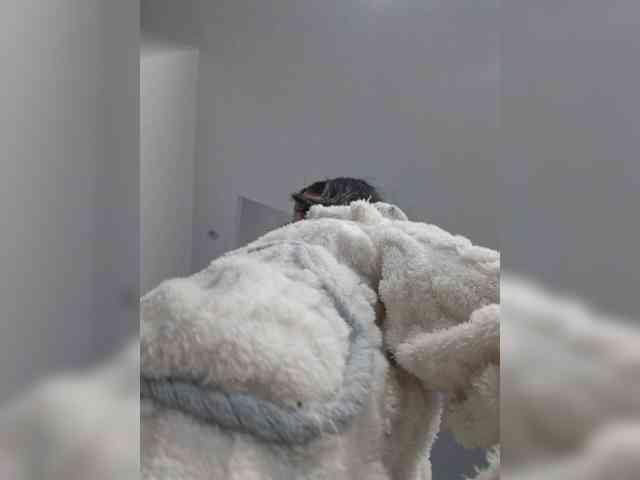 Selinababy99 webcam