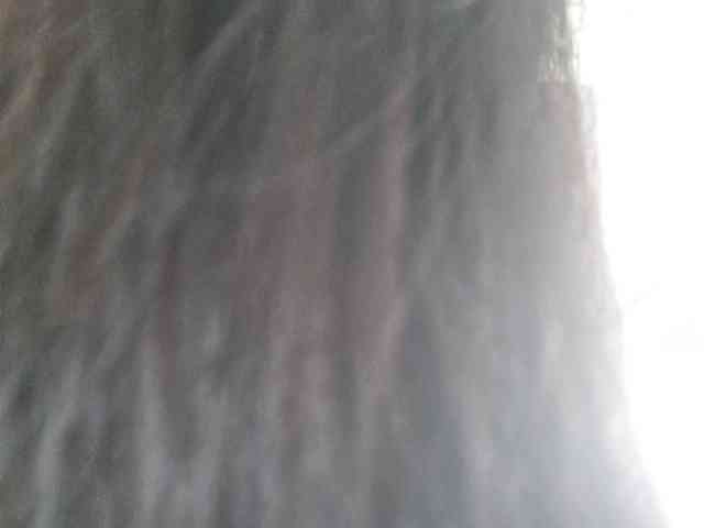 Selinababy99 webcam