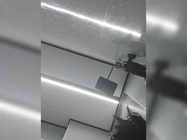 Selinababy99 webcam
