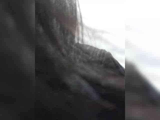 Selinababy99 webcam