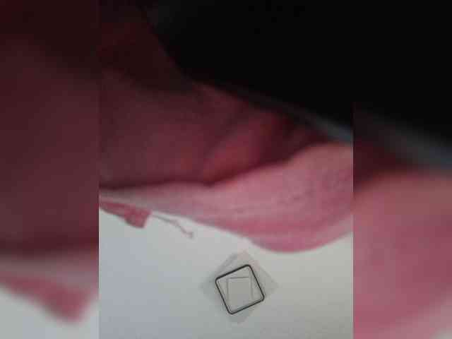 Selinababy99 webcam