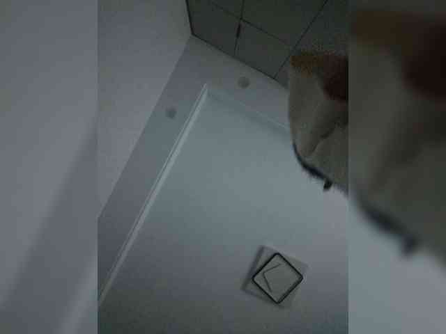 Selinababy99 webcam