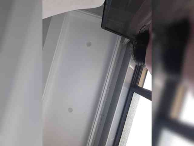 Selinababy99 webcam