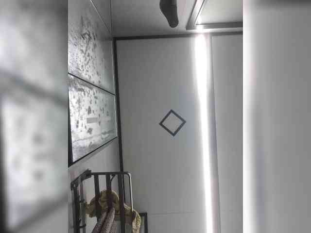 Selinababy99 webcam