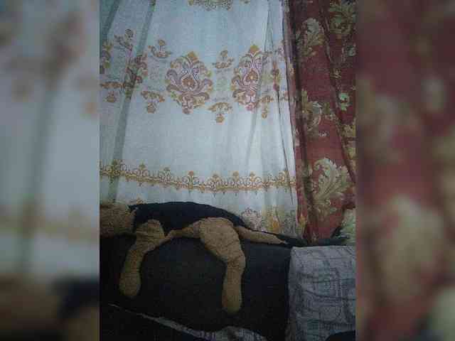chachacoquine webcam