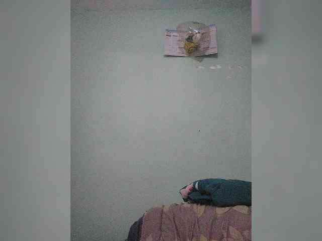 Chachachocolate webcam