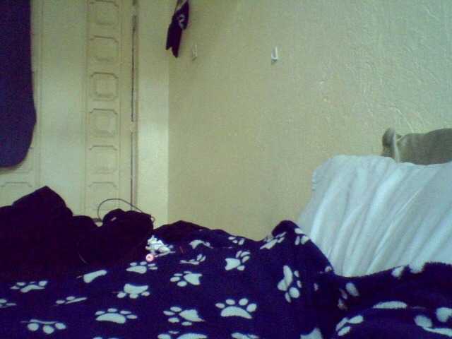 Celena980 webcam