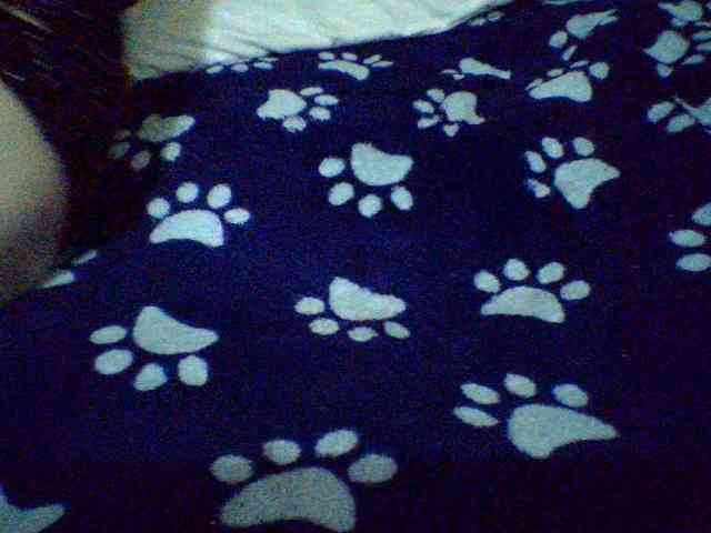 Celena980