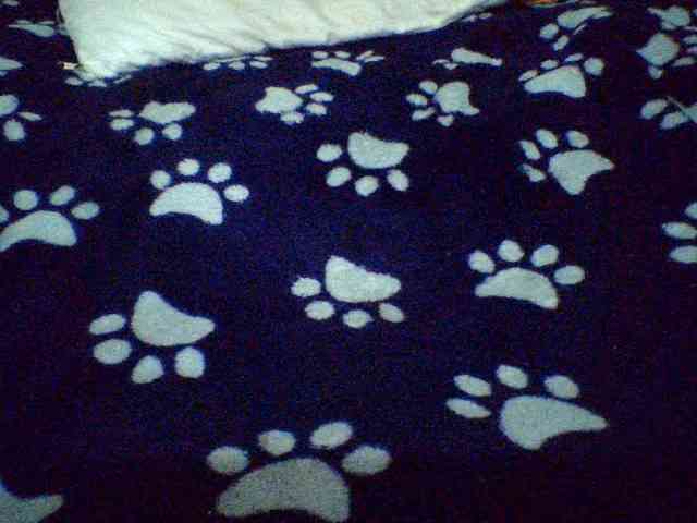 Celena980 webcam
