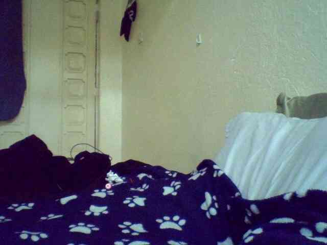 Celena980