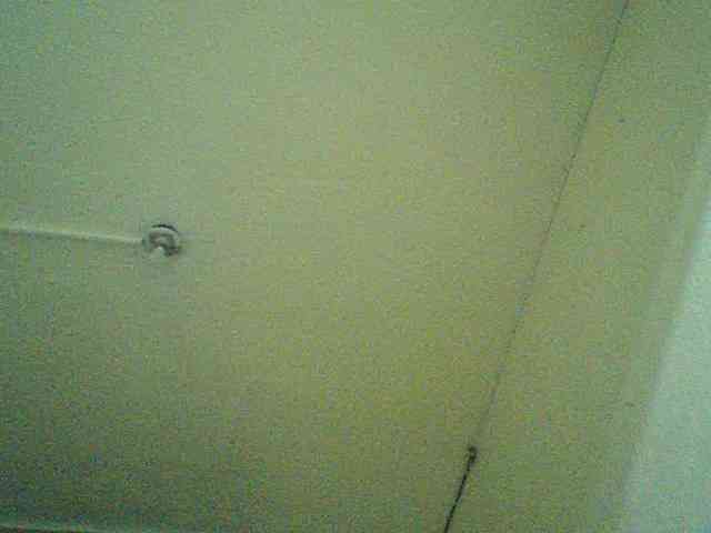 Celena980 webcam