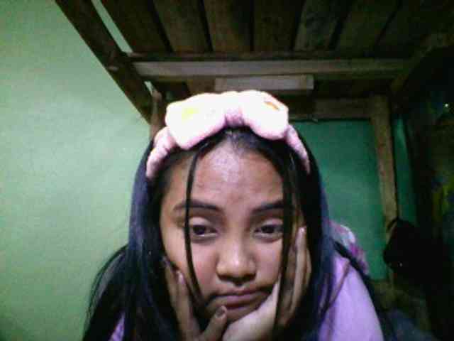 SunsetMonica webcam