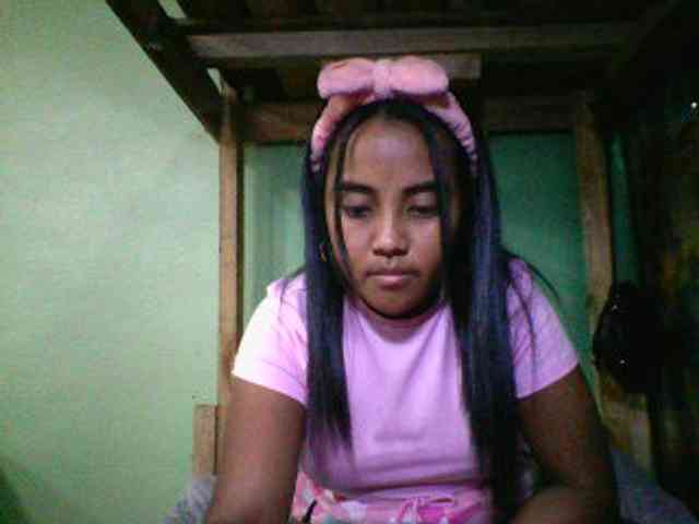 SunsetMonica webcam