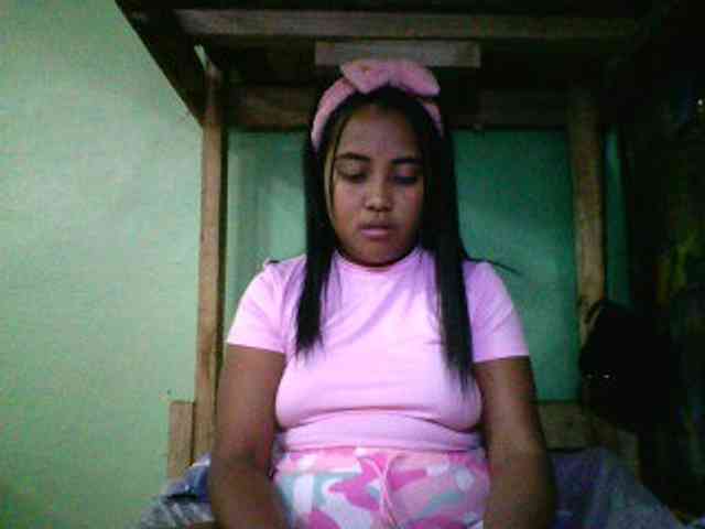 SunsetMonica webcam