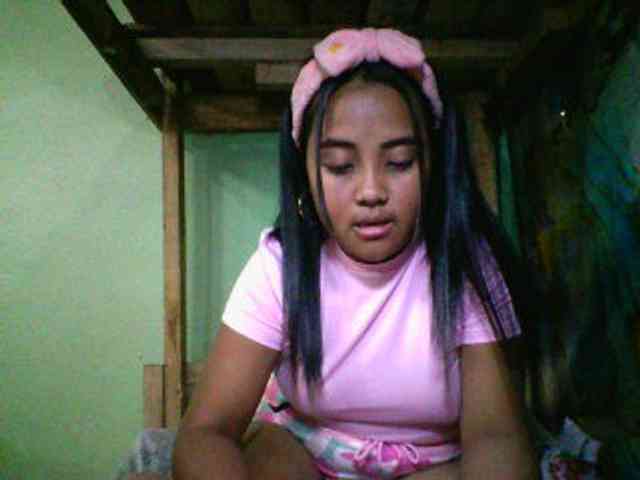 SunsetMonica webcam