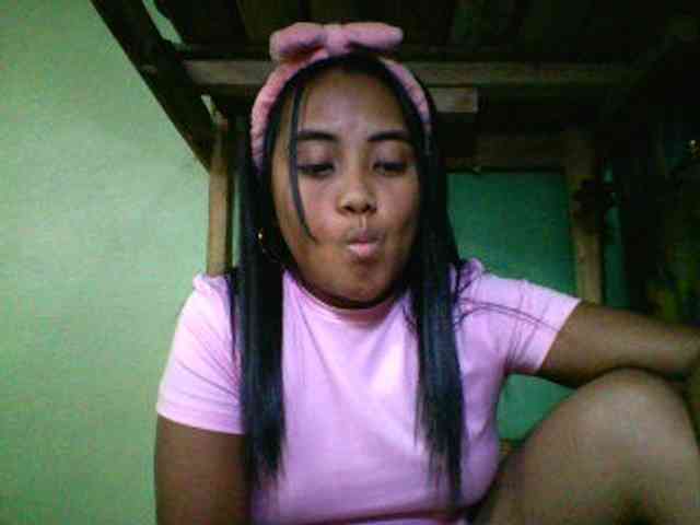 SunsetMonica webcam