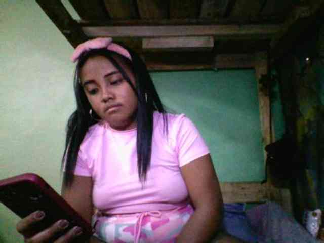 SunsetMonica webcam