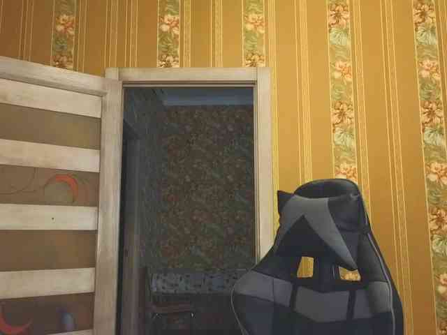 Secret_Smile webcam