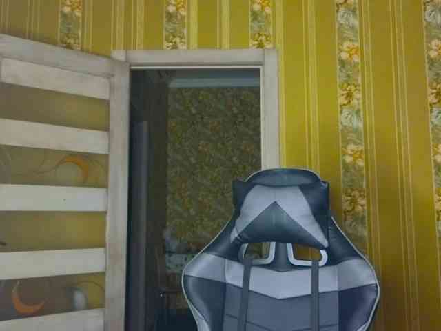Secret_Smile webcam