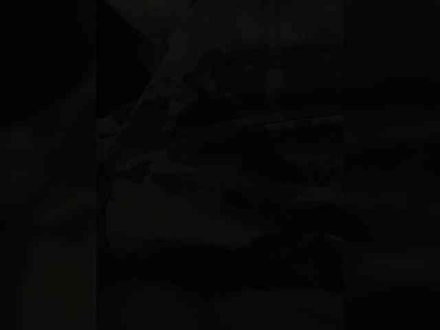 Sany541a Live Webcam on BongaCams