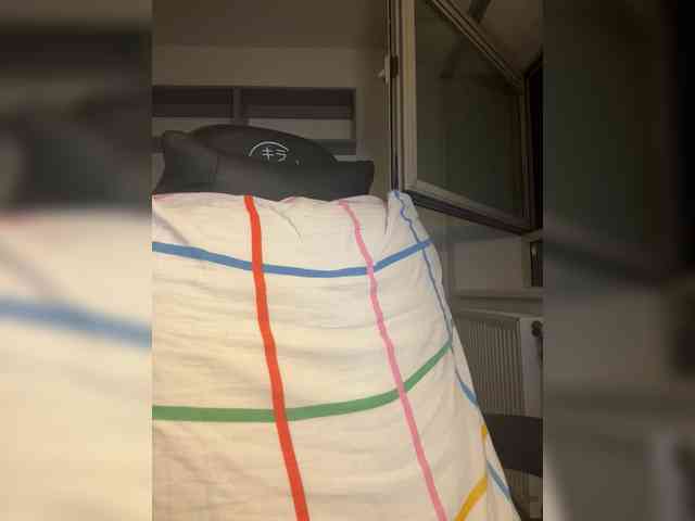 LeCriss webcam