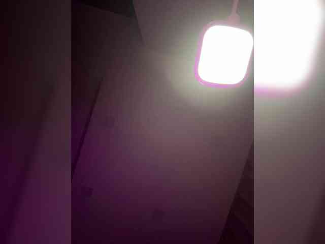 LeCriss webcam