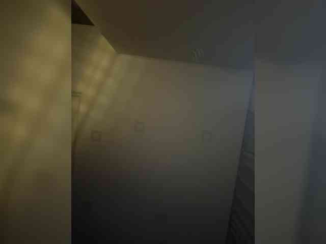 LeCriss webcam