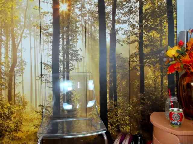 SatyneQueen webcam
