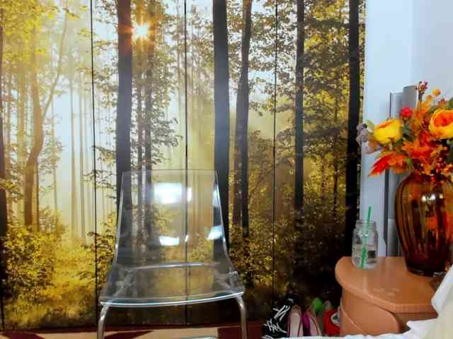 SatyneQueen webcam