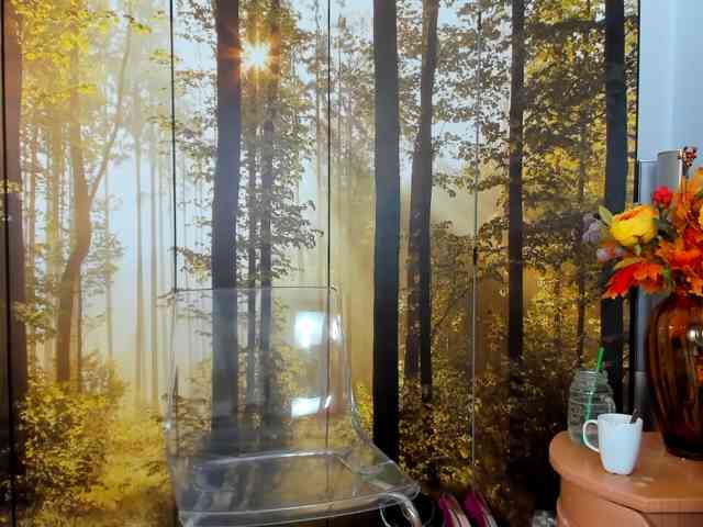 SatyneQueen webcam