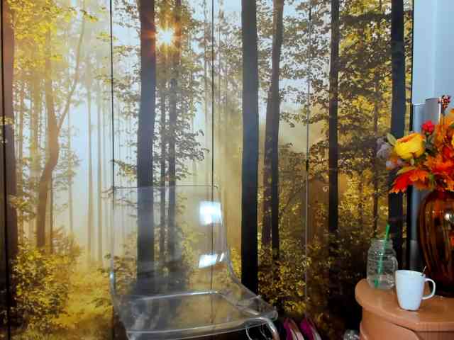 SatyneQueen webcam