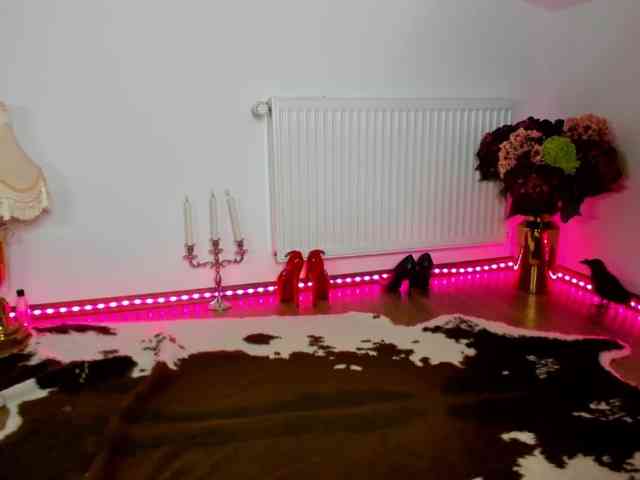 SatyneQueen webcam