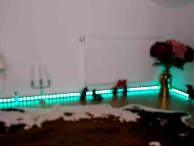 SatyneQueen webcam
