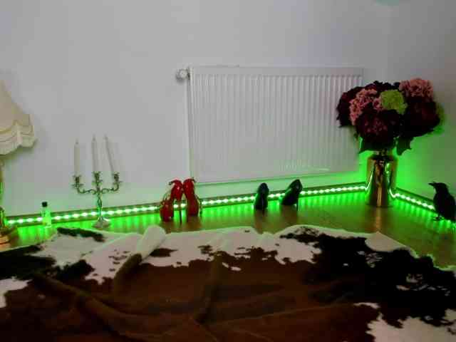 SatyneQueen webcam