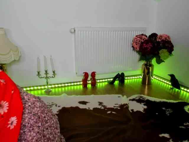 SatyneQueen webcam