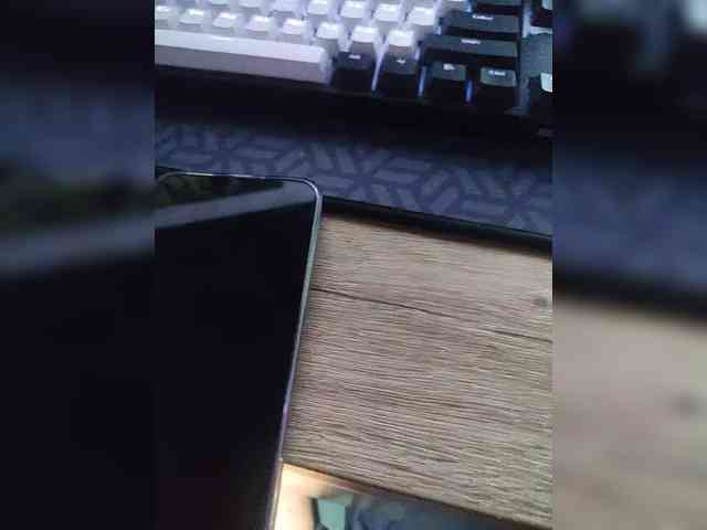 Denisspermastrel Denisspermastrel