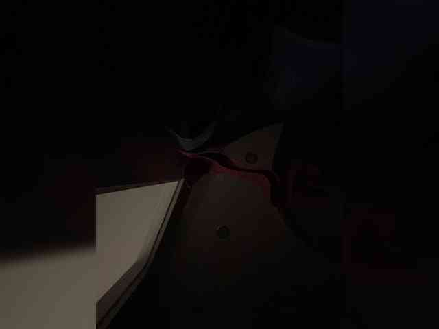 Maarymur webcam