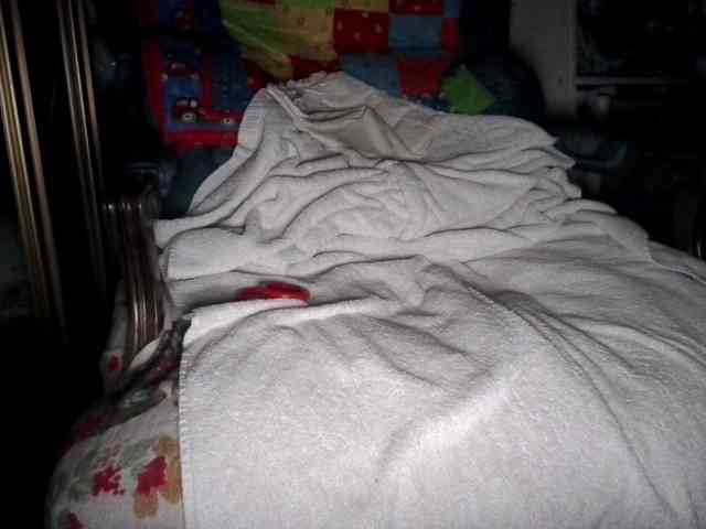 Officialdeliverydriver