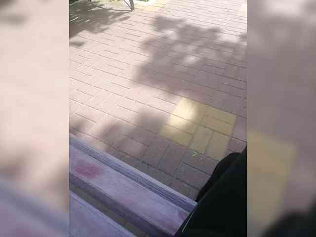 Lisichka226 webcam