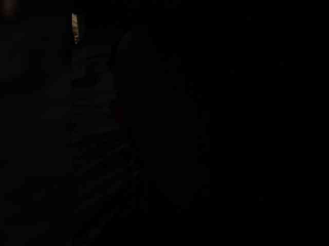 ParaParampam93 webcam