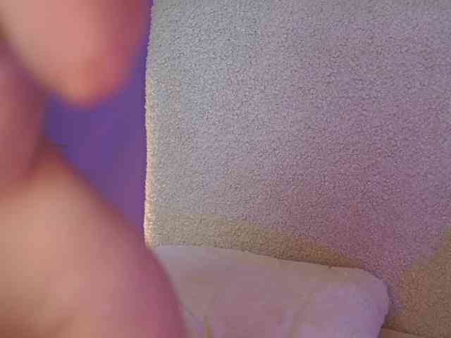 SabrinaHope