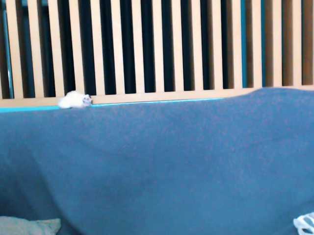 Pizda-Drozda live webcam show