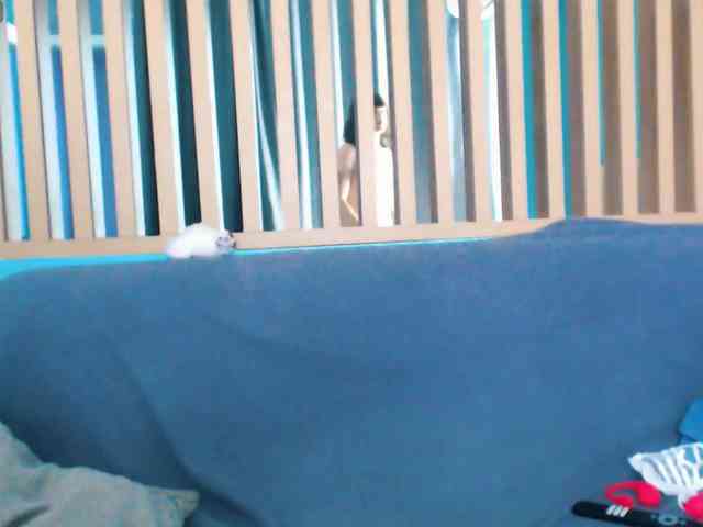 Pizda-Drozda webcam