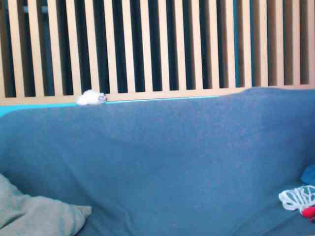 Pizda-Drozda webcam
