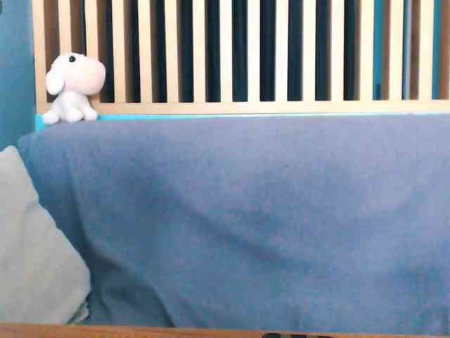 Pizda-Drozda webcam