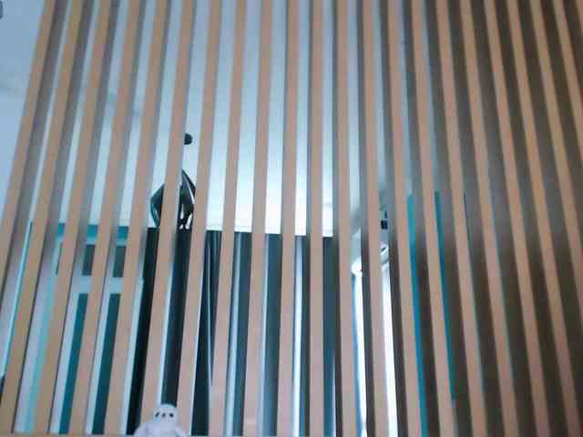 Pizda-Drozda webcam