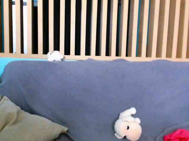 Pizda-Drozda webcam