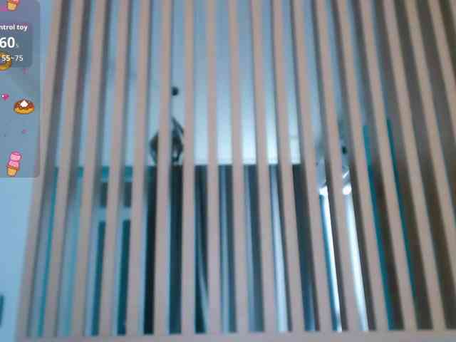 Pizda-Drozda webcam