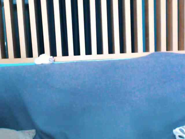 Pizda-Drozda webcam