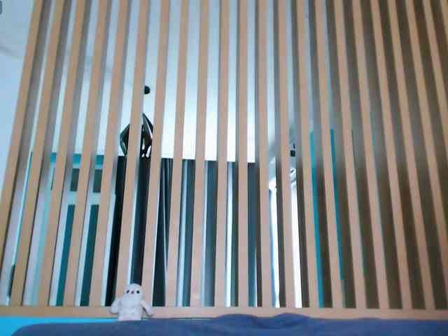 Pizda-Drozda webcam
